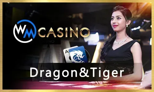 sz777 Live Poker Game
