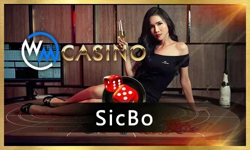 sz777 online bingo game